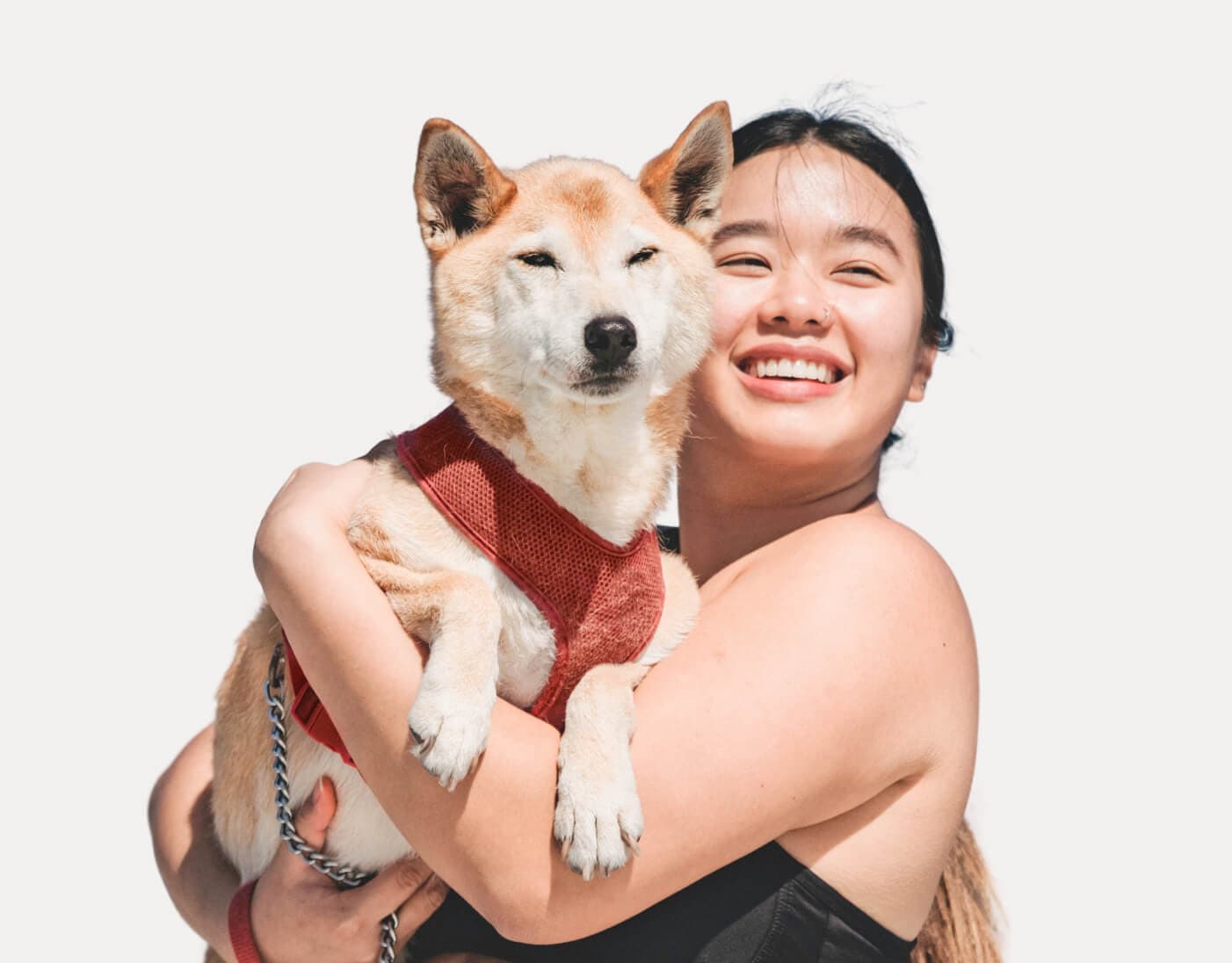 Veterinarian with pet